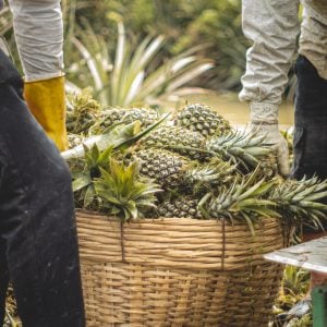 474745259 1998074874010323 4064123605503796818 n