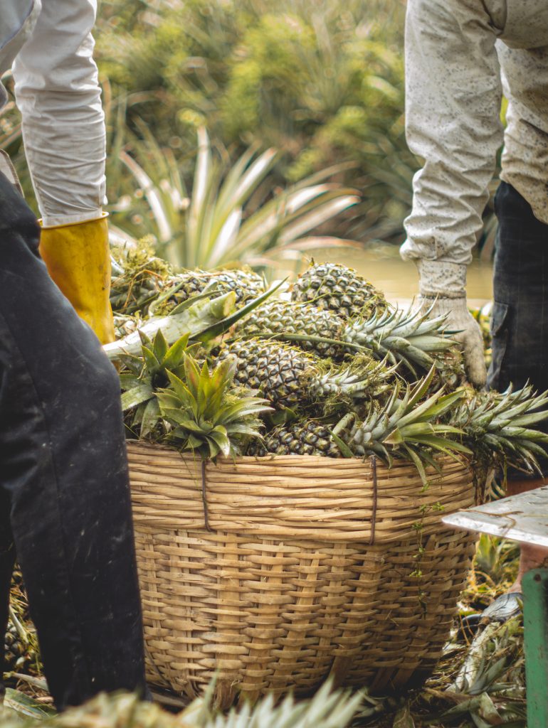 474745259 1998074874010323 4064123605503796818 n