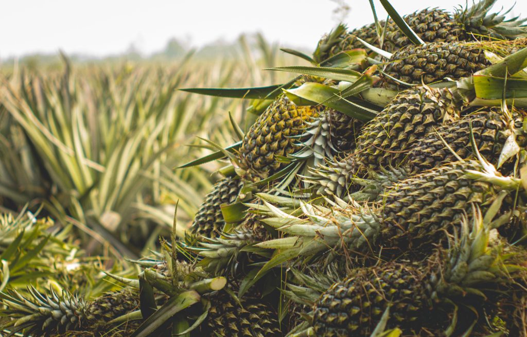 474789749 1998074894010321 2818484976486707251 n