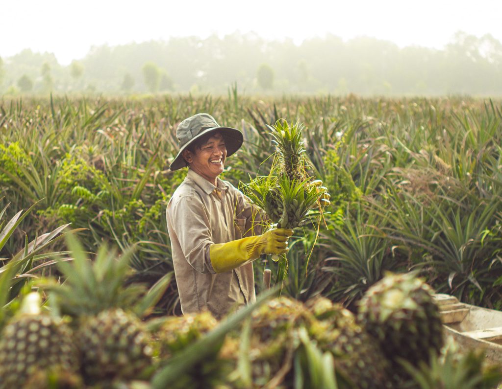 474838168 1998074820676995 7655535924169832074 n