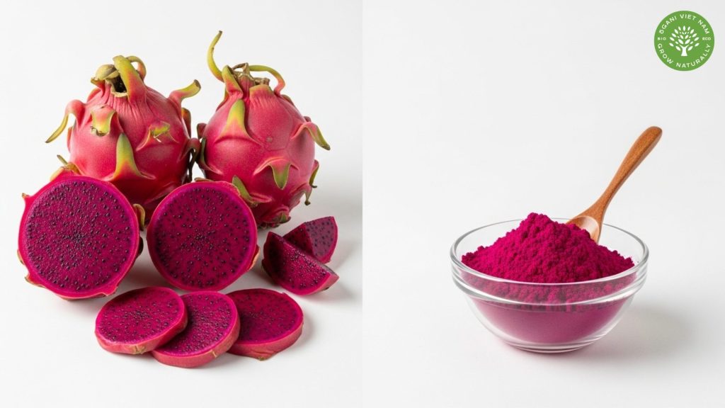 Health Benefits of Red Dragon Fruit Powder