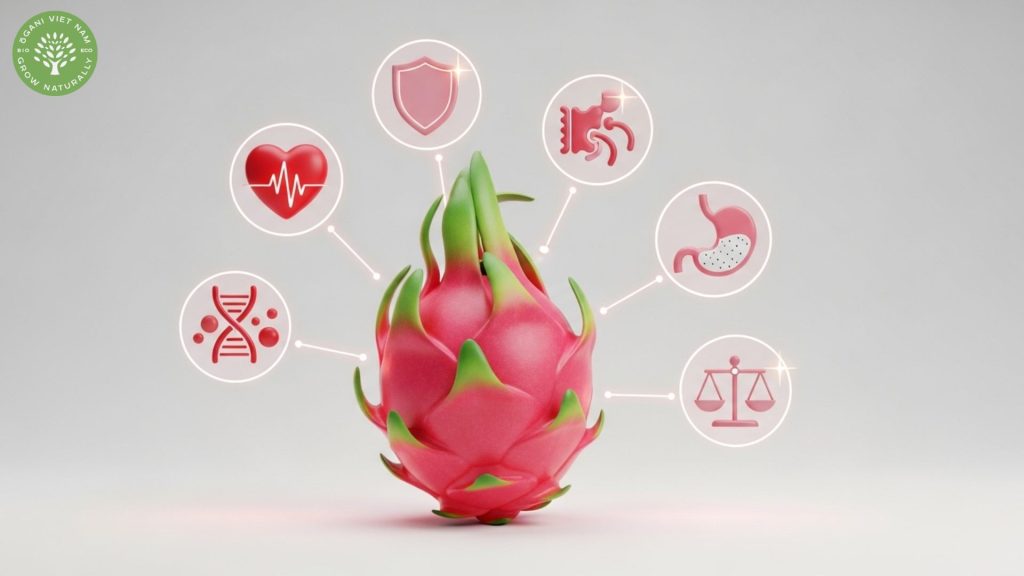 Red Dragon Fruit Benefits: The Ultimate Guide to This Antioxidant Powerhouse 2 Dragon fruit red benefits