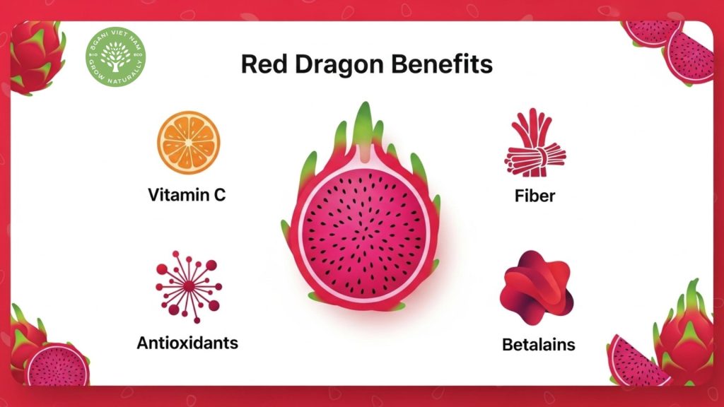 Red Dragon Fruit Benefits: The Ultimate Guide to This Antioxidant Powerhouse 3 Dragon fruit red benefits