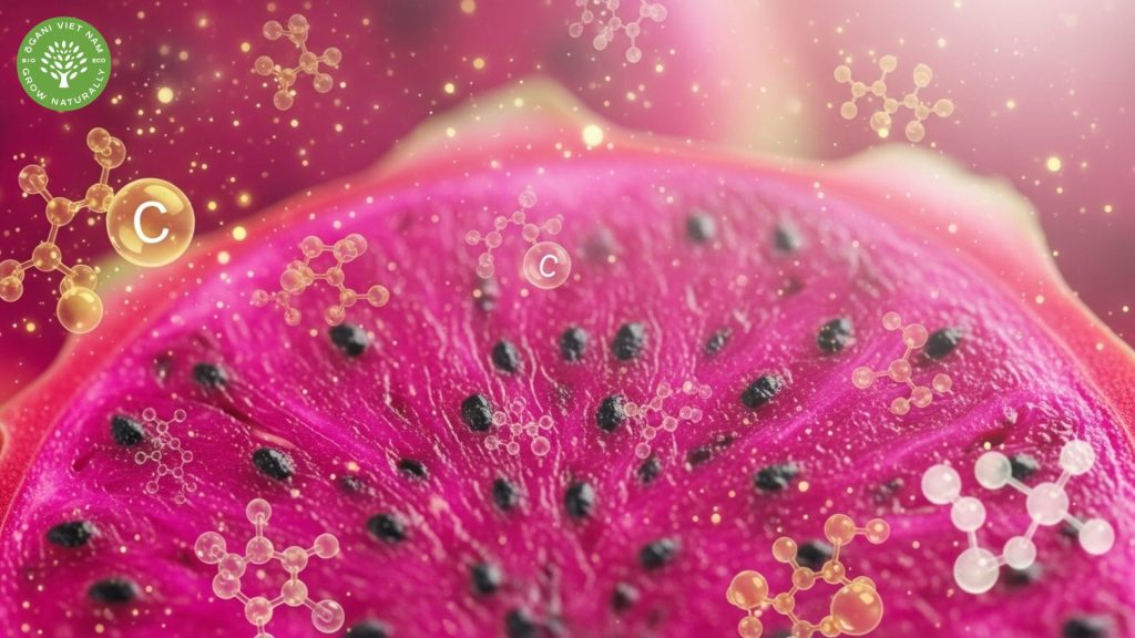 Red Dragon Fruit Benefits: The Ultimate Guide to This Antioxidant Powerhouse 4 Dragon fruit red benefits