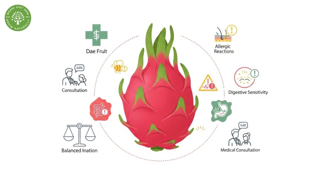 Red Dragon Fruit Benefits: The Ultimate Guide to This Antioxidant Powerhouse 7 Dragon fruit red benefits