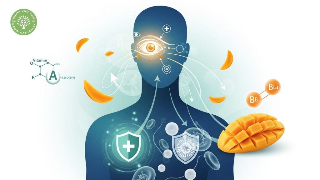 benefits dried mango