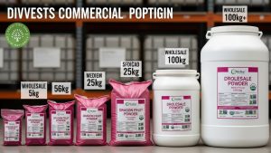 Dragon Fruit Powder Bulk Wholesale USA: Premium Suppliers For Food Brands 2 dragon fruit powder bulk wholesale usa