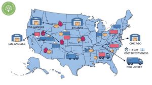 Dragon Fruit Powder Bulk Wholesale USA: Premium Suppliers For Food Brands 4 dragon fruit powder bulk wholesale usa