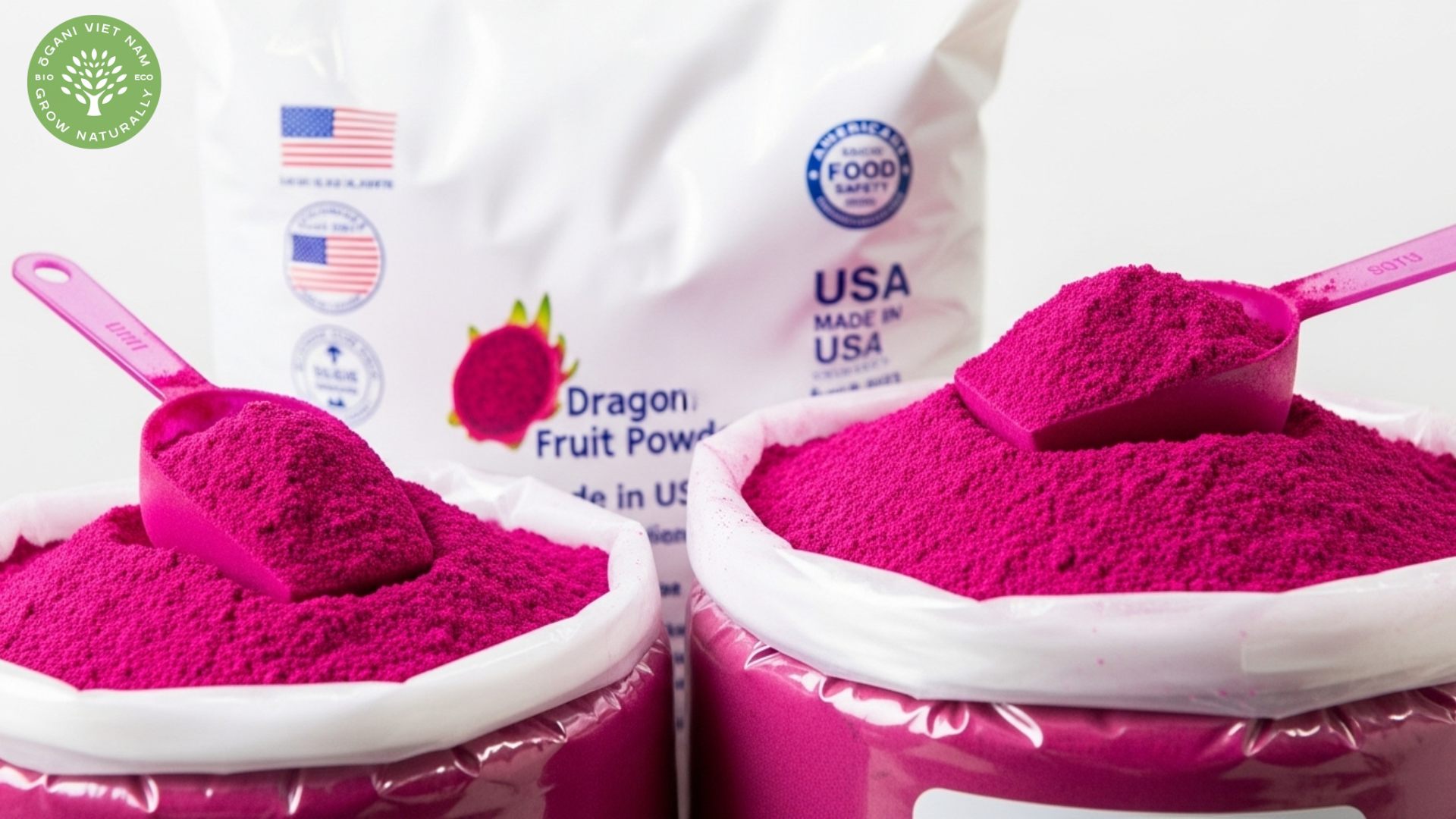 Dragon Fruit Powder Bulk Wholesale USA: Premium Suppliers For Food Brands 1 dragon fruit powder bulk wholesale usa