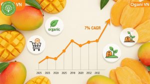 Exploring the Dried Mango Market in 2025 3 dried mango market