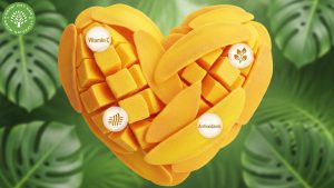 Exploring the Dried Mango Market in 2025 4 dried mango market