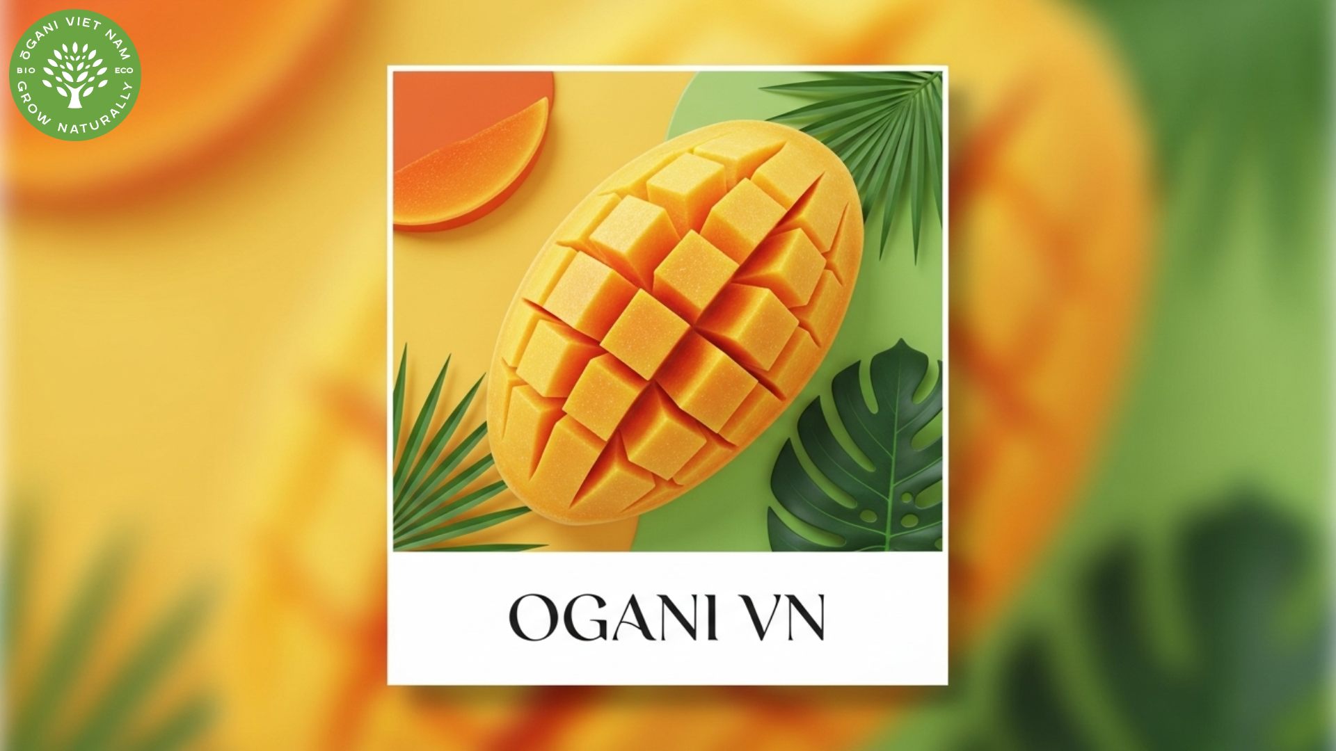 Exploring the Dried Mango Market in 2025 1 dried mango market