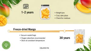 dried mango vs freeze dried mango