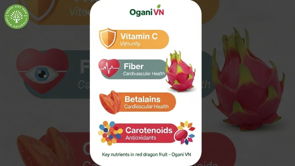 red dragon fruit benefits