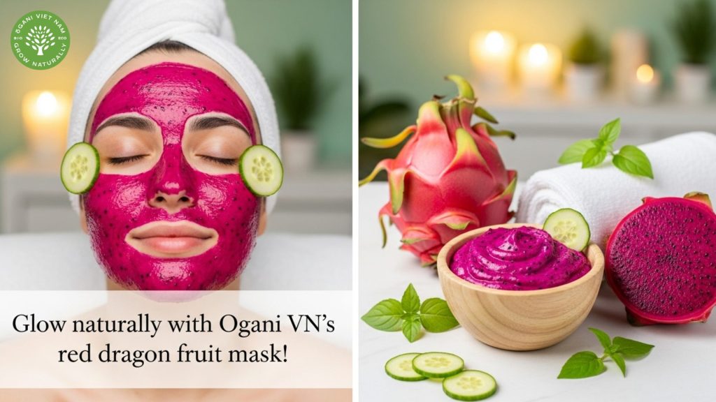 red dragon fruit benefits