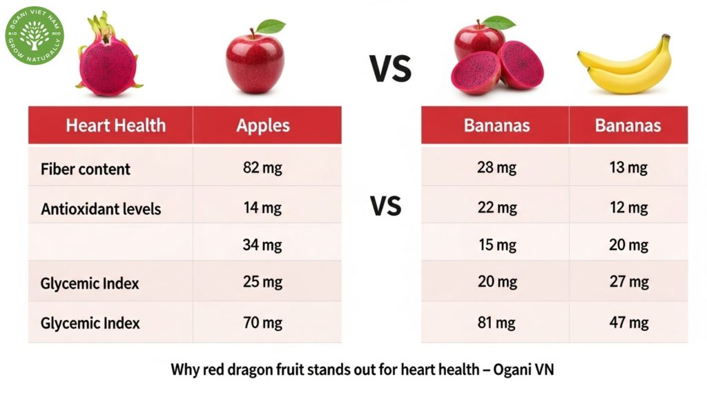 red dragon fruit benefits