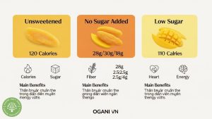 unsweetened vs no sugar added dried mango