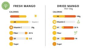 are dried mango slices good for you