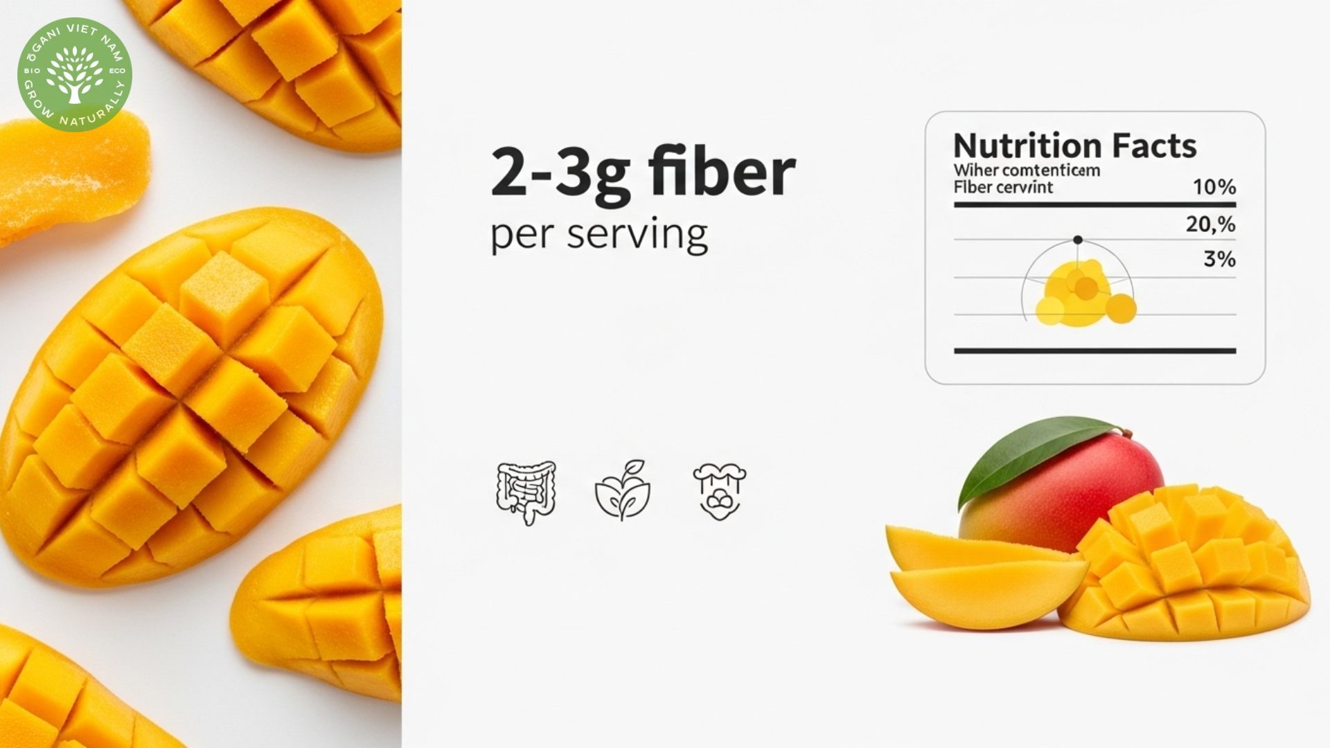 does dried mango have fiber