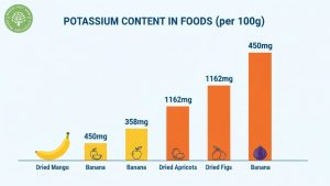 does dried mango have potassium