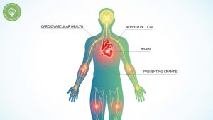 does dried mango have potassium