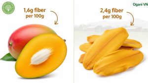 fiber in dried mango