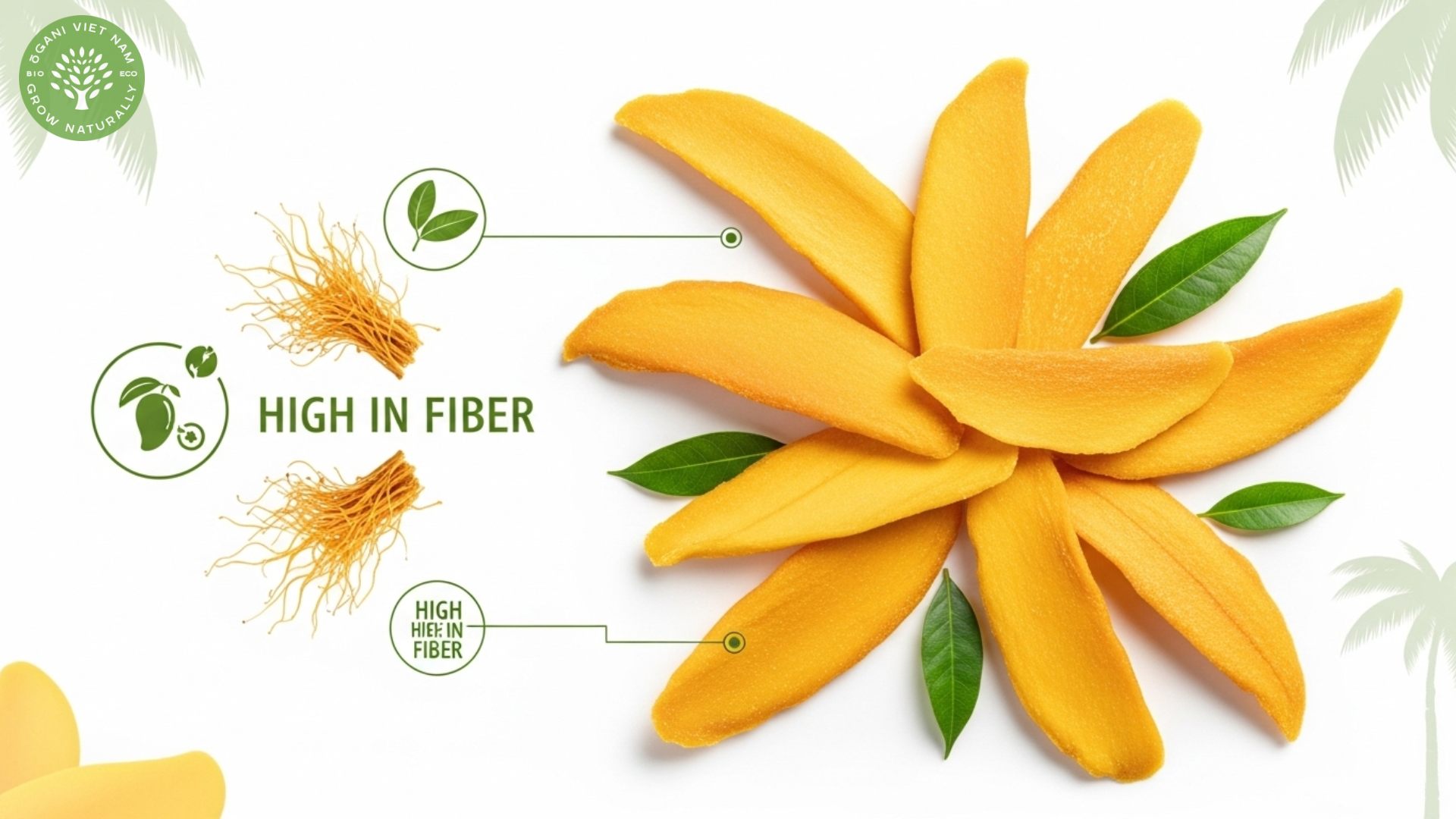 fiber in dried mango