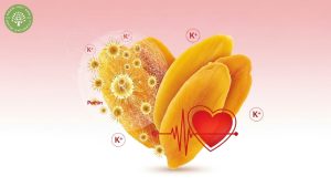 health benefits dried mango