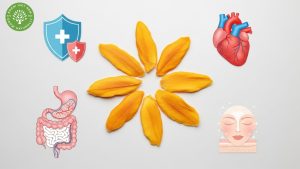 is dry mango good for you