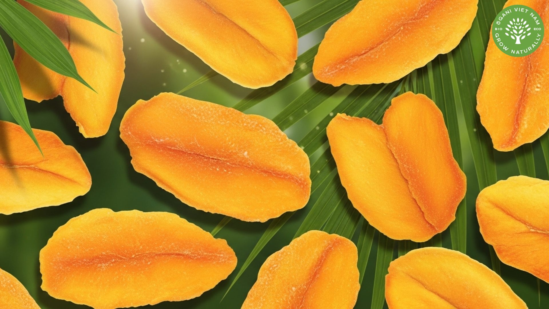 is dry mango good for you
