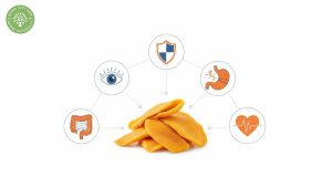 Is Unsweetened Dried Mango Good For You? The Complete Health Guide 3 is unsweetened dried mango good for you