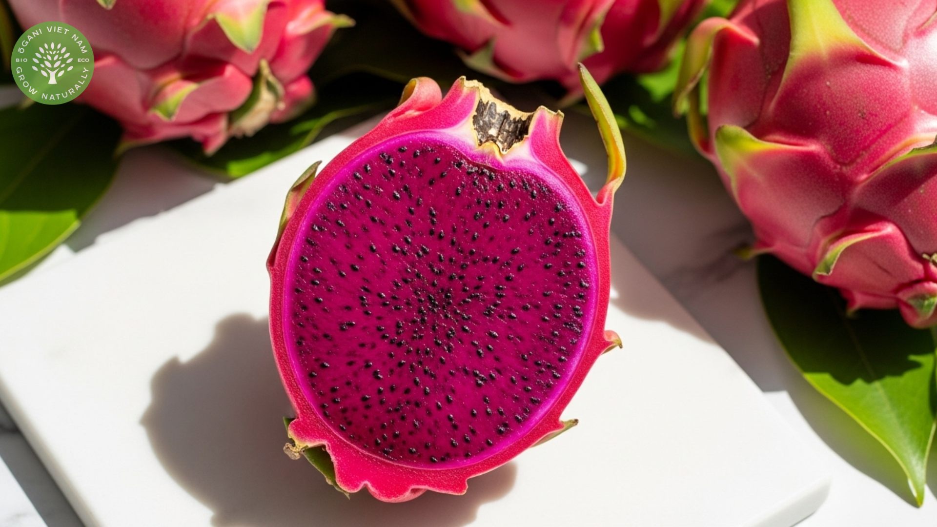 benefit of red dragon fruit