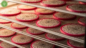 dehydrating dragon fruit
