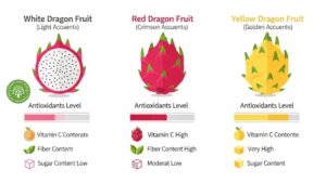 Dragon Fruit Colours: A Complete Guide to Varieties and Flavors 3 dragon fruit colours