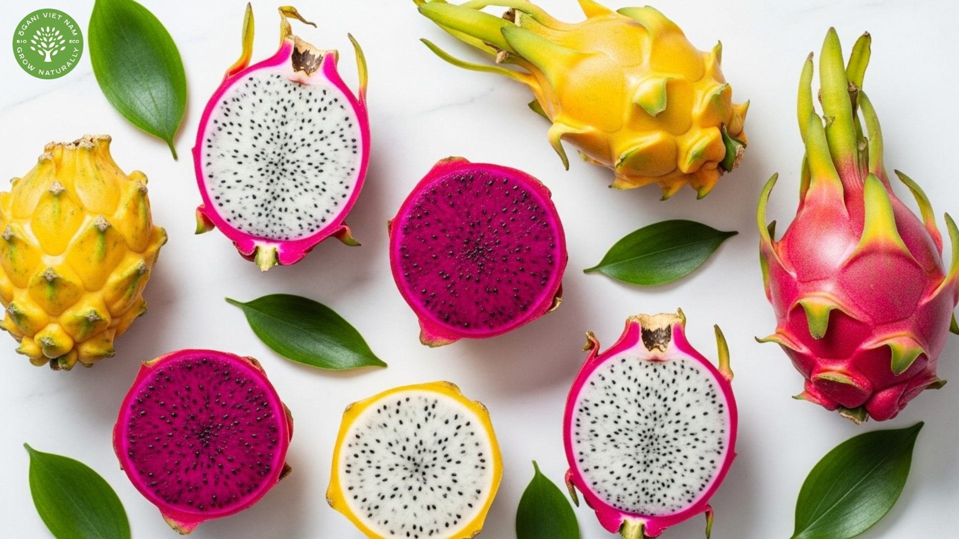 Dragon Fruit Colours: A Complete Guide to Varieties and Flavors 1 dragon fruit colours