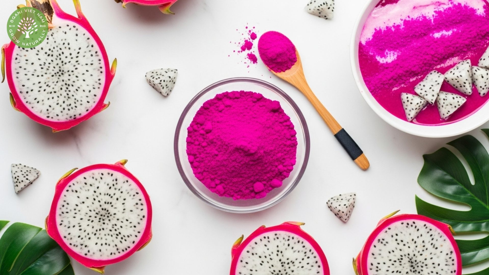dragon fruit powder benefits