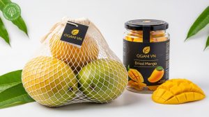 dried mango vs fresh