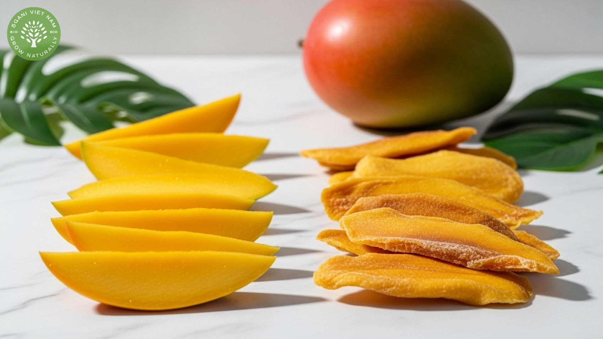dried mango vs fresh mango