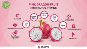 pink dragon fruit health benefits