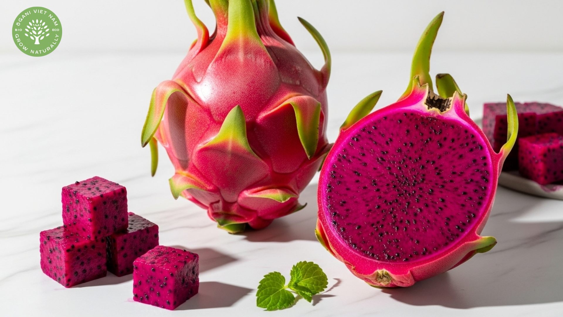 red dragon fruit