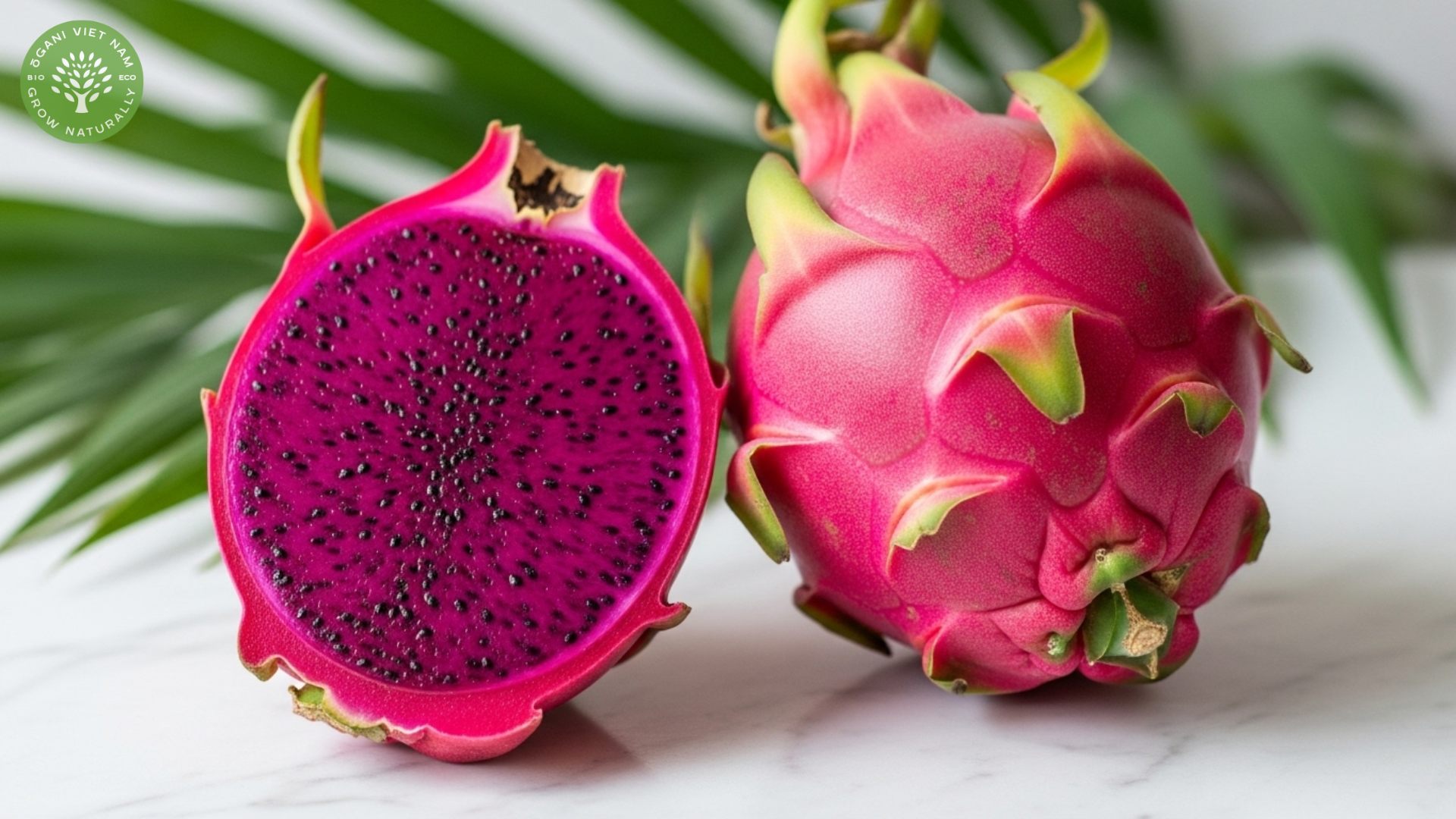 pink pitaya
