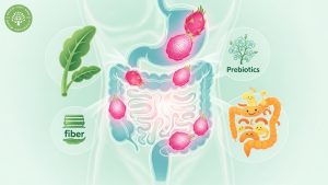 pitaya powder benefits