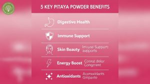 pitaya powder benefits
