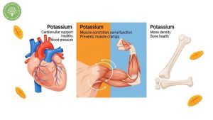 potassium in dried mango