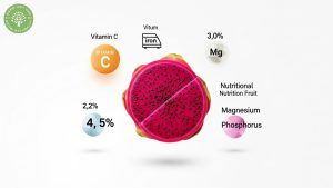 red dragon fruit health benefits