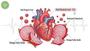 red dragon fruit health benefits