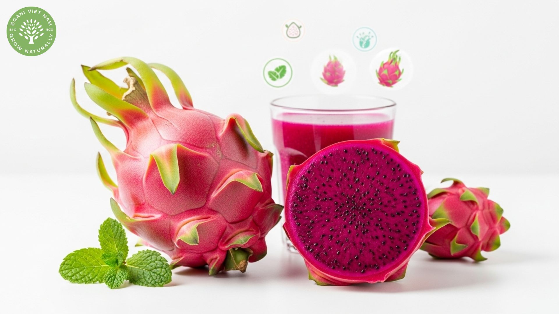 red dragon fruit health benefits