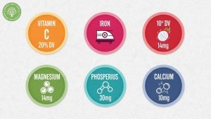 red dragon fruit nutrients