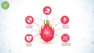 red dragon fruit nutrients