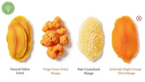 Types of Dried Mango: Your Complete Guide to Sweet Varieties 6 types of dried mango